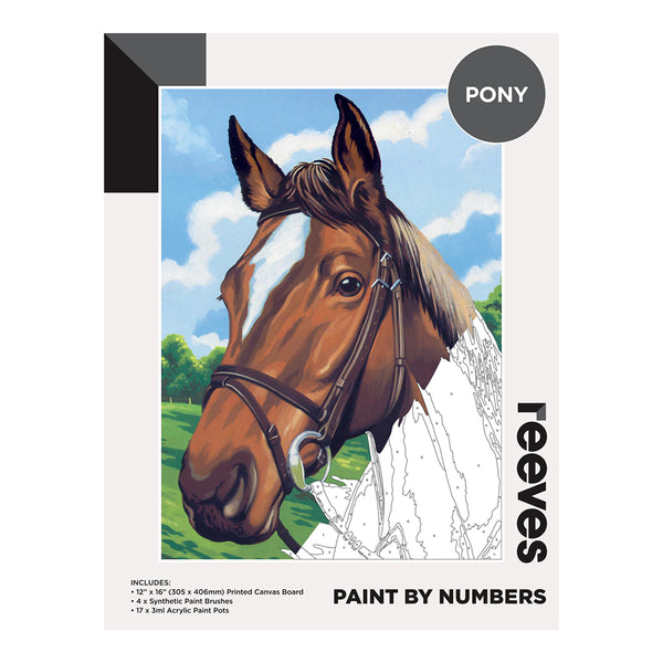 Reeves Paint By Numbers Pony