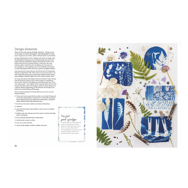 Cyanotype Step Chart.pdf Beginner’s Guide to Cyanotype