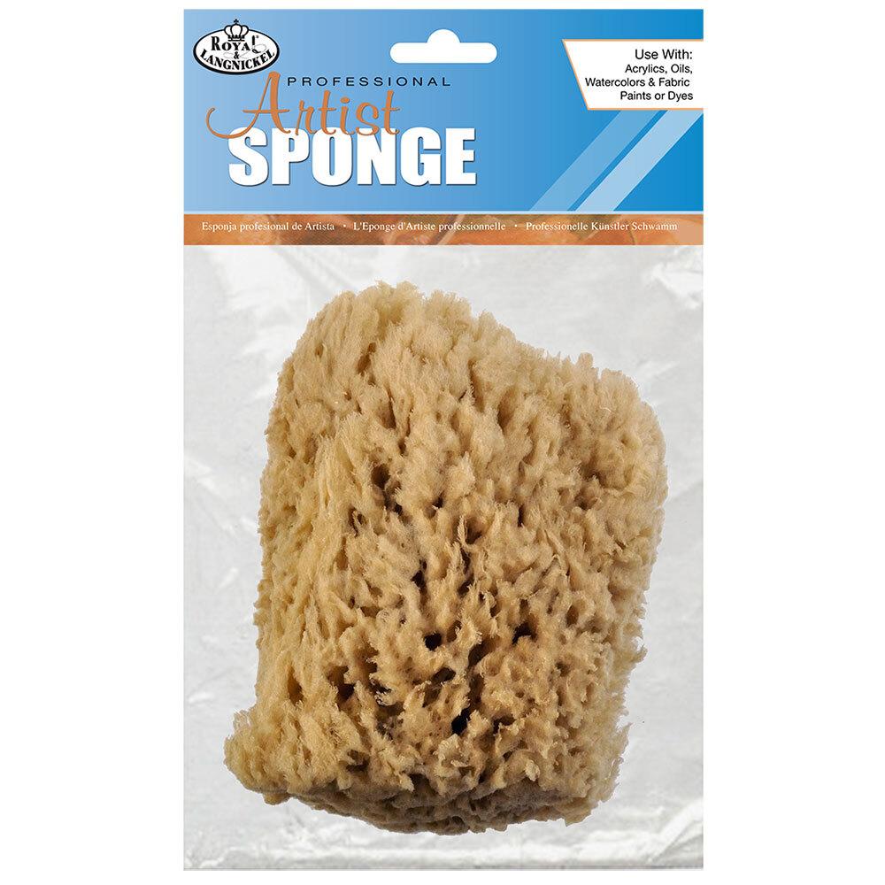 Sea Wool Sponge 5" - 6"