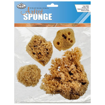 SPONGE COMBINATION SET