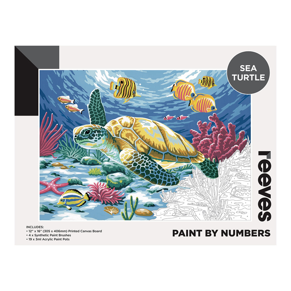 Reeves Paint By Numbers - Sea Turtle